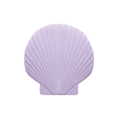 Venus Shell Jewelry Box by Dioy DEsign
