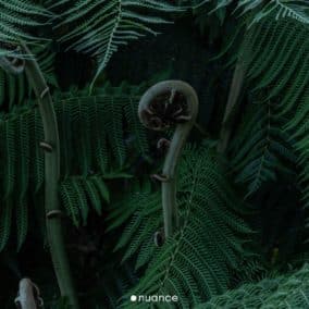 Fibonacci sequence